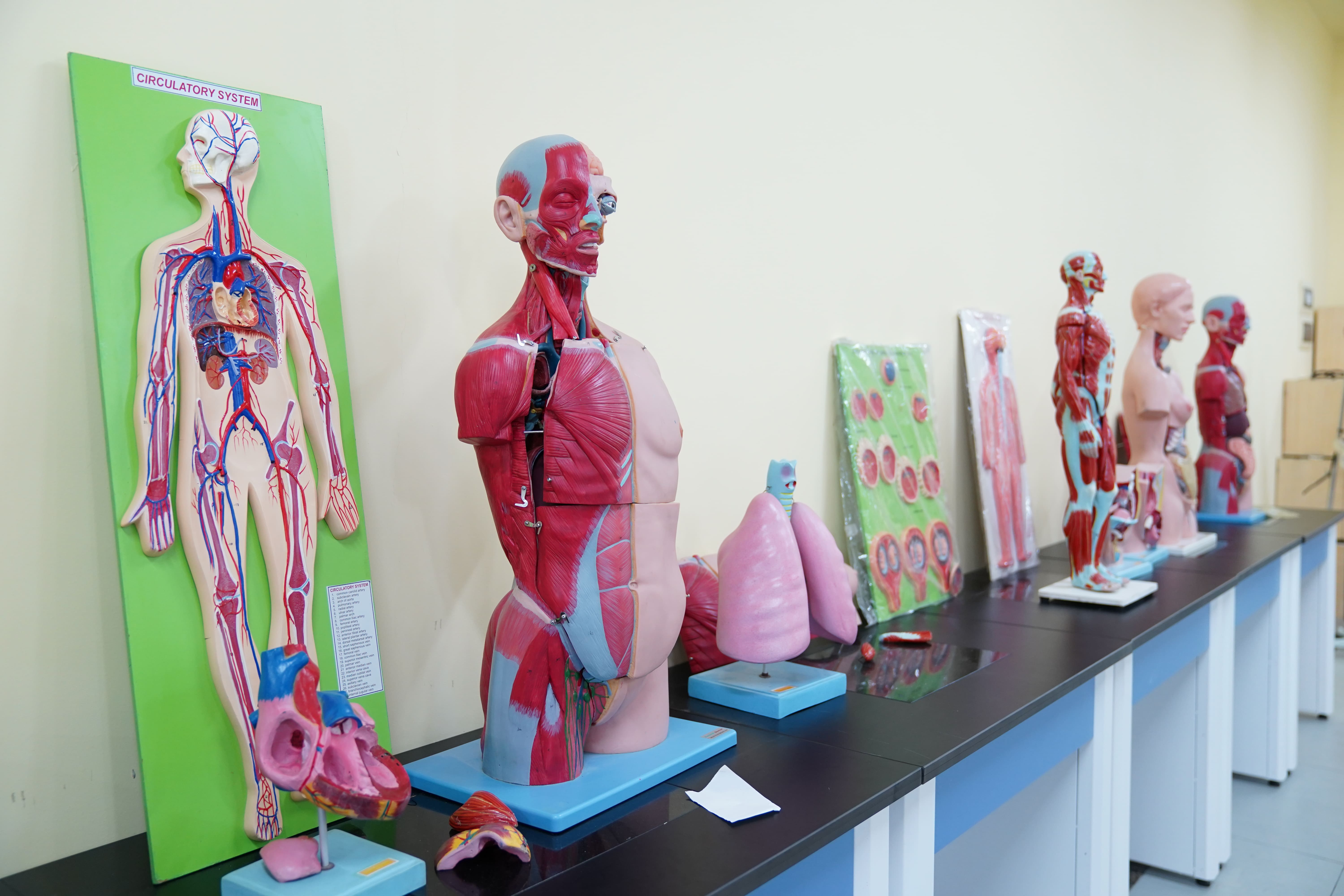 Laboratory at UCT — 4
